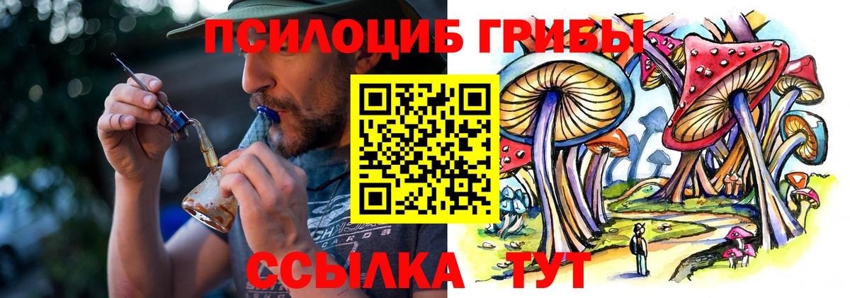 Кореновск  Псилоцибиновые грибы ЛСД  Вход с VPN 
