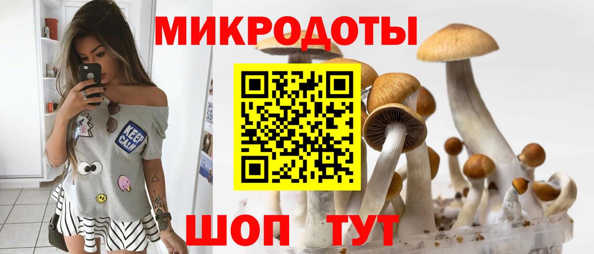 Псилоцибиновые грибы ЛСД Кореновск